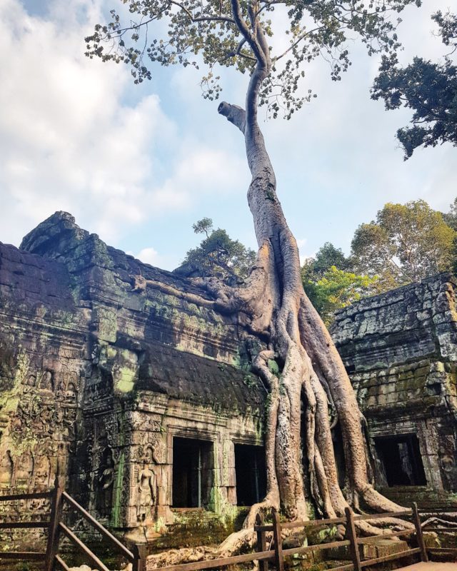 Angkor temples near Siem Reap, Cambodia