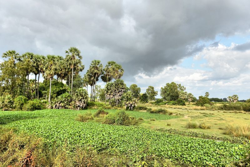Countryside, Cambodia