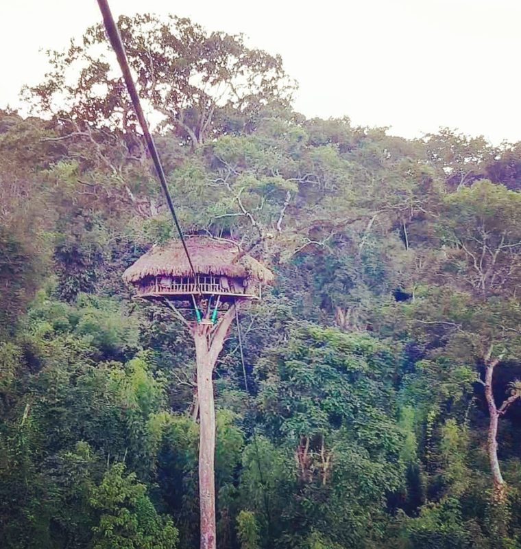 Gibbon Experience in the jungle, Laos