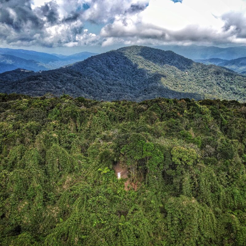 At the peak of Gunung Berembun, Cameron Highlands, Malaysia